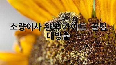 소량이사 완벽 가이드 📦 꿀팁 대방출! 💨
