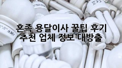 혼족 용달이사 꿀팁🍯 후기 & 추천 업체 정보 대방출!