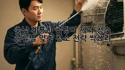 🏡 충남 계룡시 곰팡이 제거 청소: 종류별 맞춤 청소 전략 싹쓰리! 🧹